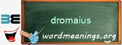 WordMeaning blackboard for dromaius